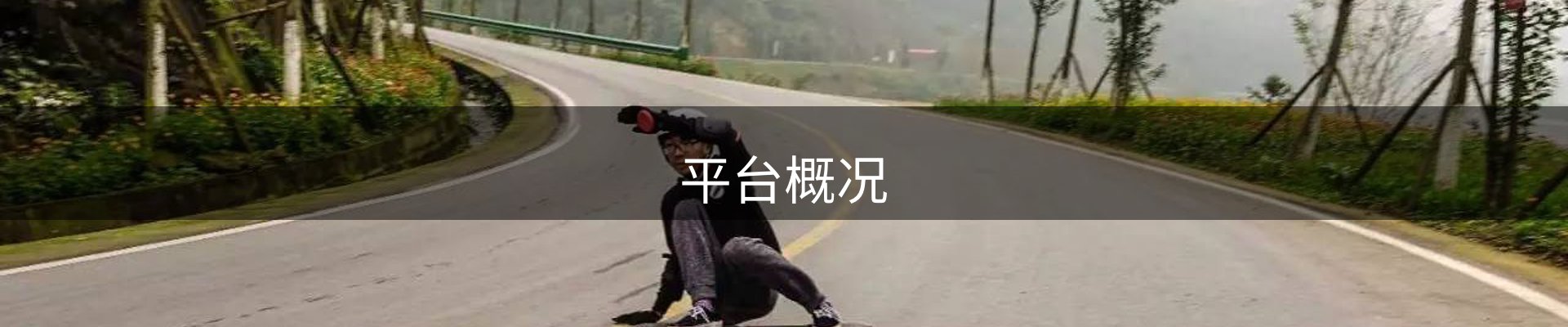 平台概况